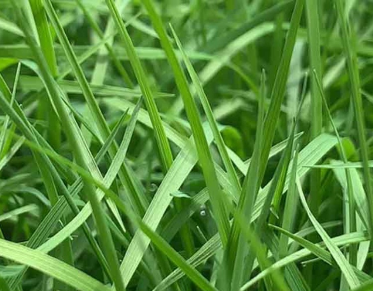 1634030770741079.jpg 1634030620.jpg