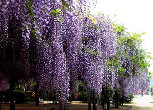 1634109669330549.jpg image.jpg