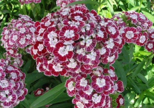 1634109875805639.jpg image.jpg