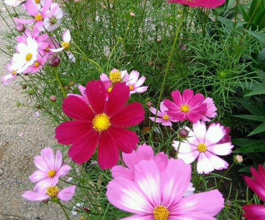 1634110720210410.jpg image.jpg