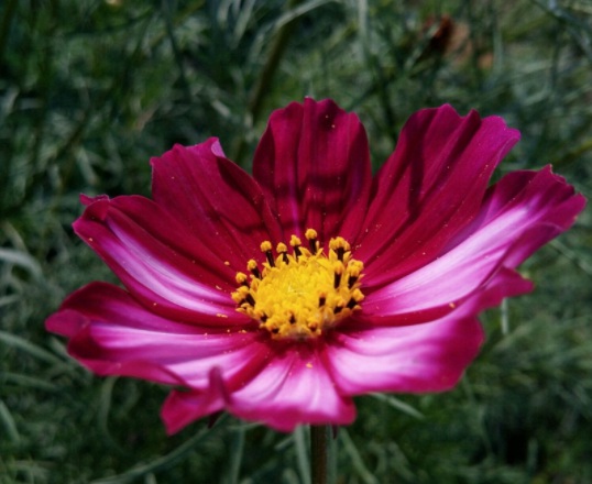 1634110739973306.jpg image.jpg