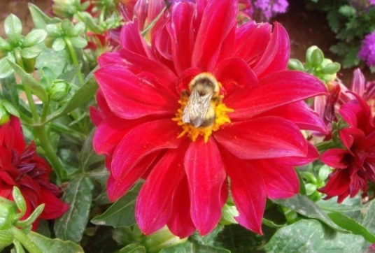 1634110822825639.jpg image.jpg