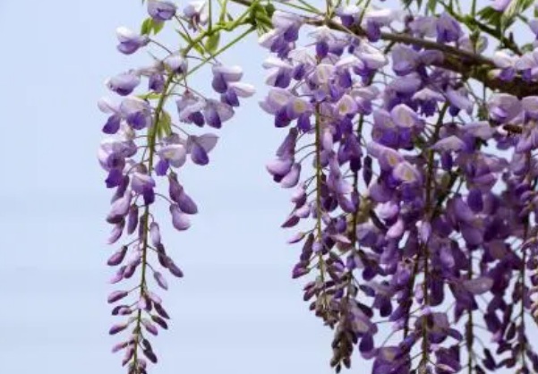 1634117668426115.jpg image.jpg