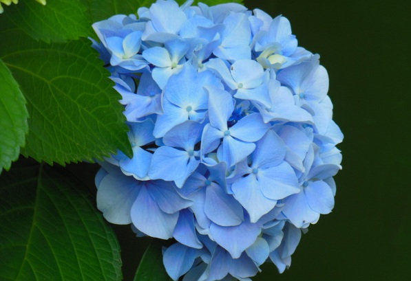 1634118384273313.jpg image.jpg