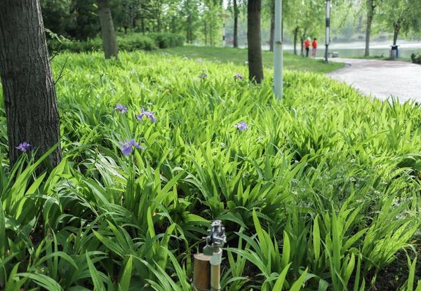 1634119553485027.jpg image.jpg