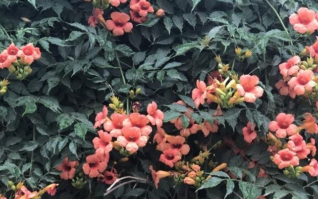 1634120968364626.jpg 圖片.jpg