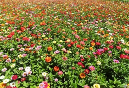 1634193920575494.jpg image.jpg