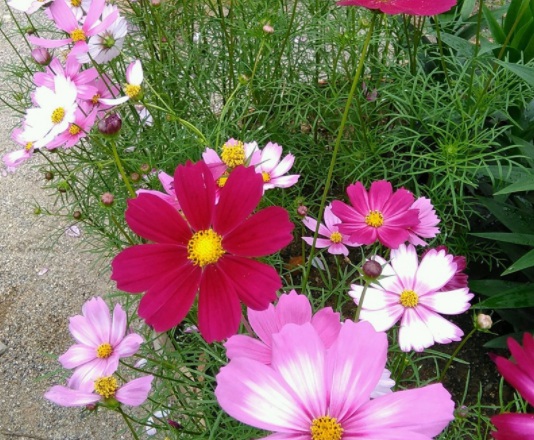 1634195303195737.jpg image.jpg