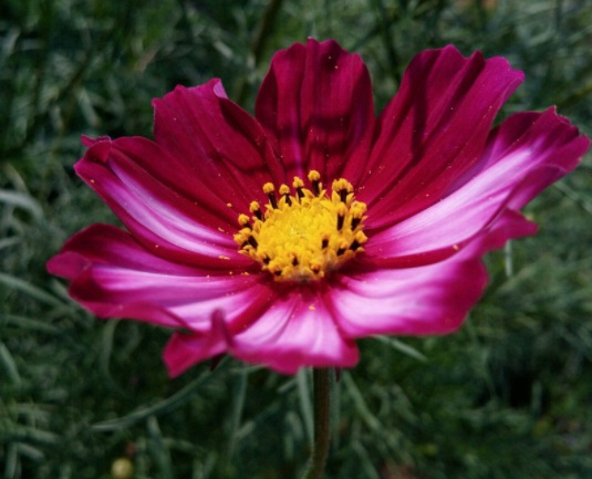 1634195322537094.jpg image.jpg