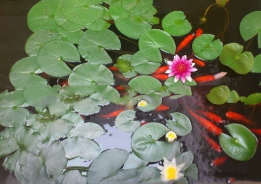 1634195427583225.jpg image.jpg