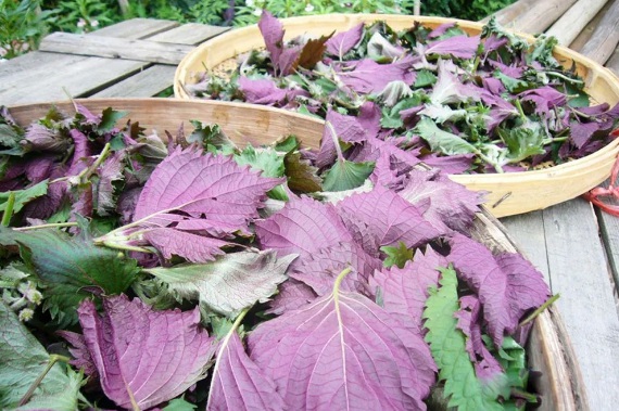 1634360326262510.jpg image.jpg