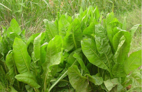 1634360543159989.jpg 1634360543159989.jpg