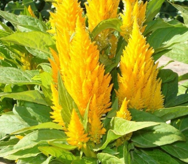 1576050749684955.jpg 1576050749684955.jpg