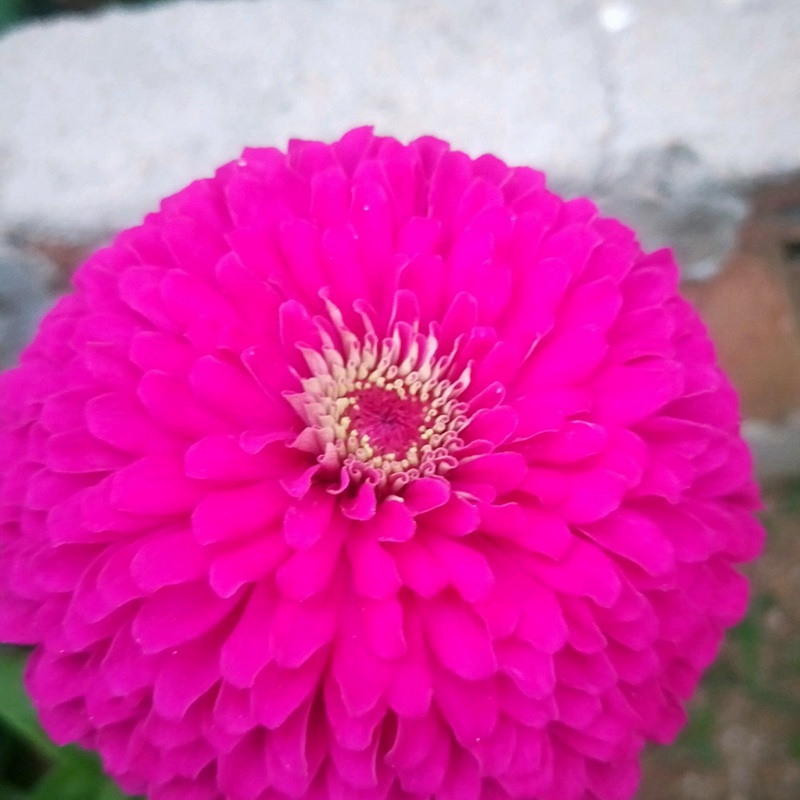 1634561587770634.jpg 5223bc41ad0c71736afb0bddd259ee72_1587632715229555.jpg