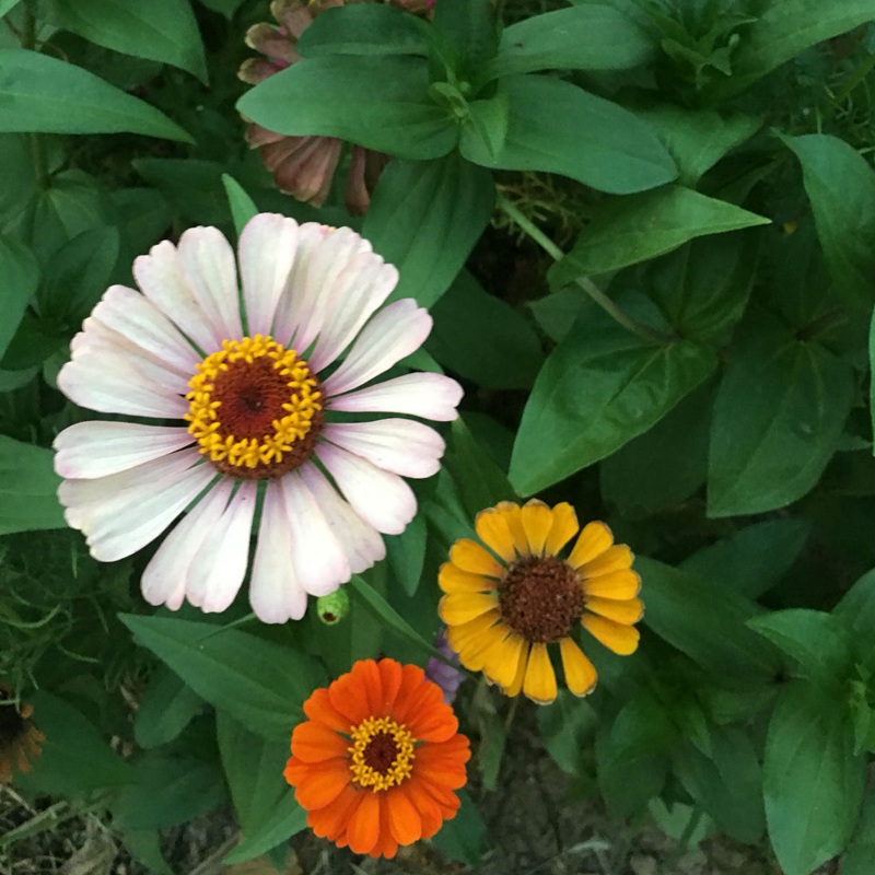 1634561609317187.jpg 8d0ff51fa7e339ba4c4f2ad1b7a81be8_1587632747119205.jpg