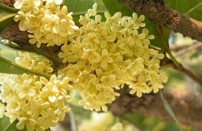 1634638498736247.jpg 1634638498736247.jpg