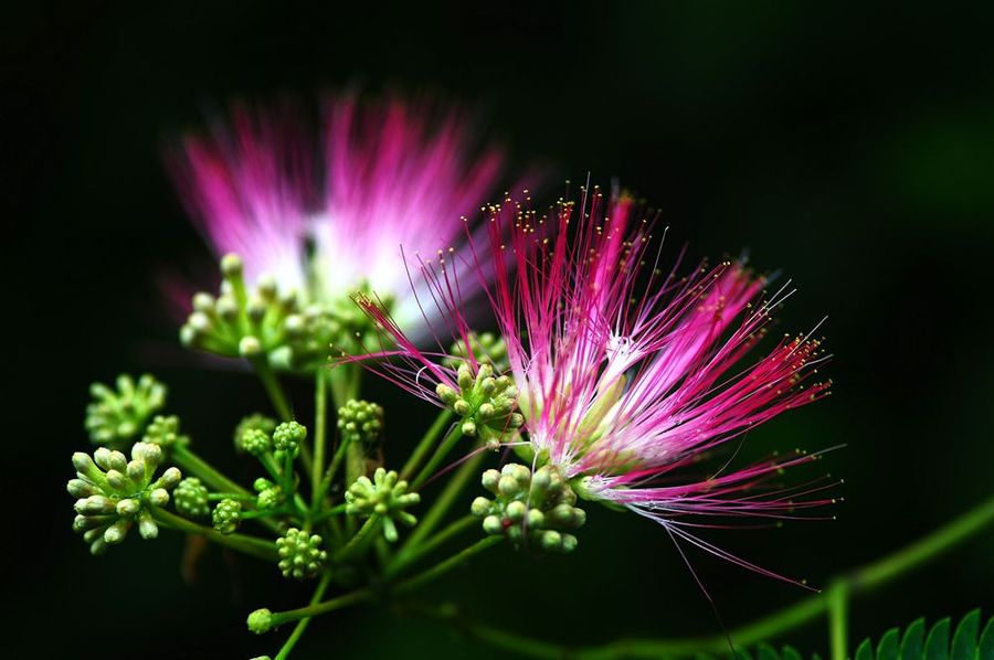 1634638700493500.jpg 1634638700493500.jpg