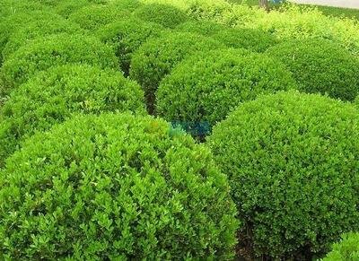 1634639418942783.jpg 1634639418942783.jpg