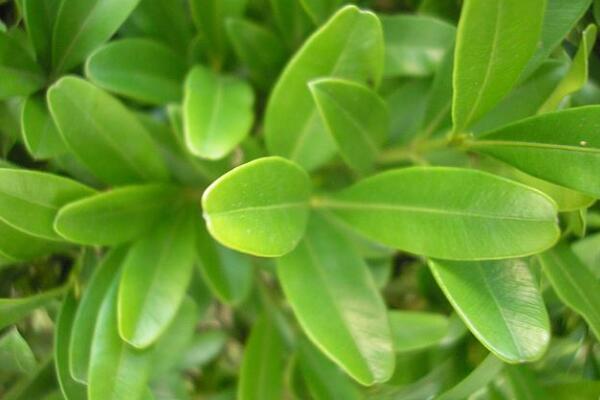 1634639439941234.jpg 1634639439941234.jpg