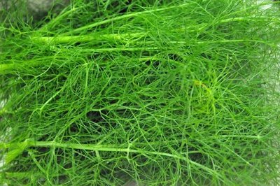 1634639591629676.jpg 1634639591629676.jpg