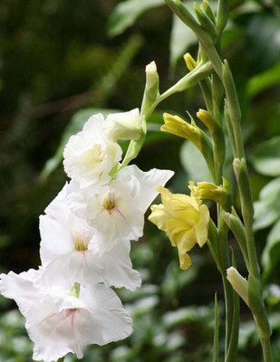 1634639871529677.jpg 1634639871529677.jpg