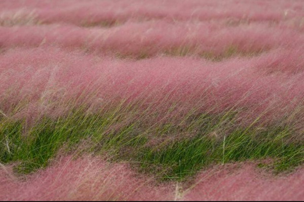 1634736181401161.jpg ea46c5a72dbf1316ee8548c5d3d3971d_1573886393372678.jpg