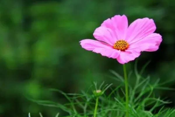 1634781843746307.jpg image.jpg