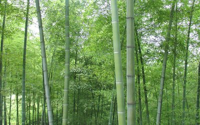 1634810309230739.jpg 1634810309230739.jpg