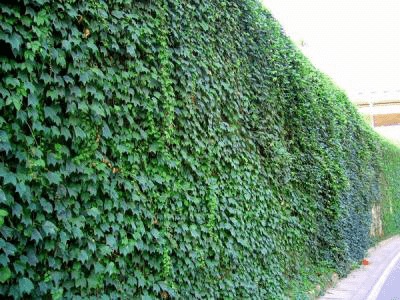 1634810709394090.jpg 1634810709394090.jpg