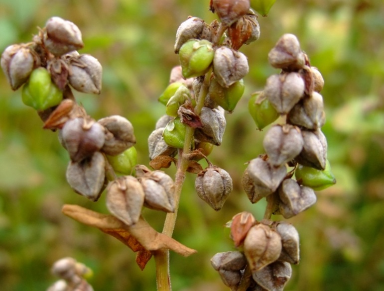 1634972413631521.jpg 1634972413631521.jpg