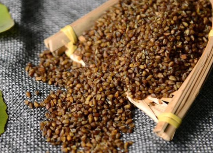 1634972428109109.jpg 1634972428109109.jpg