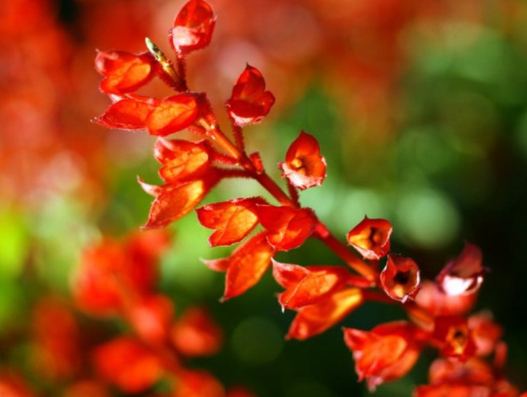 1634975175982780.jpg 1634975175982780.jpg