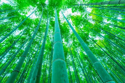 1634987102497734.jpg 1634987102497734.jpg