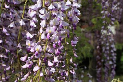 1635079556684683.jpg 1635079556684683.jpg