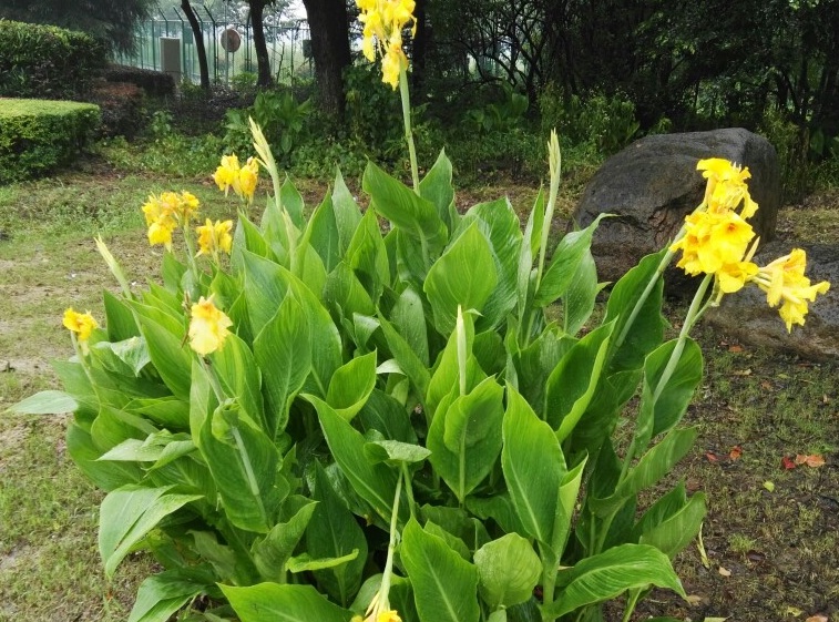 1635086909904778.jpg 2.jpg