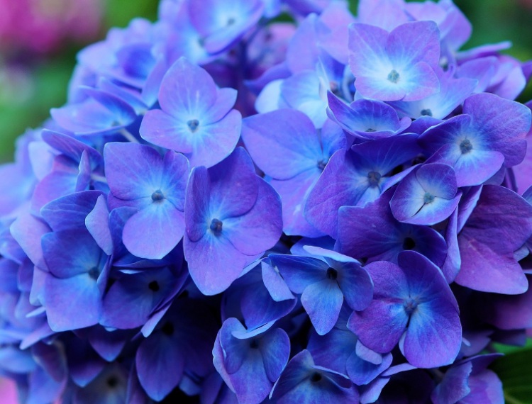 1635344822218315.jpg 1635344822218315.jpg