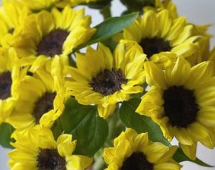 1635579839141125.jpg 1.jpg