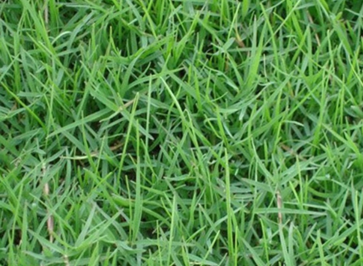 1635607405720151.jpg 1635607405720151.jpg