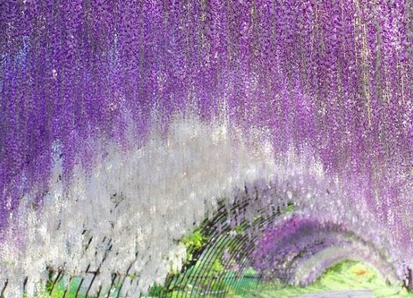 1635827479544765.jpg image.jpg