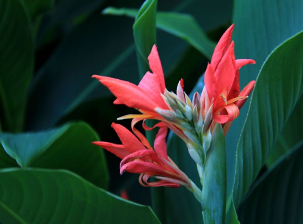 1635827655108272.jpg image.jpg