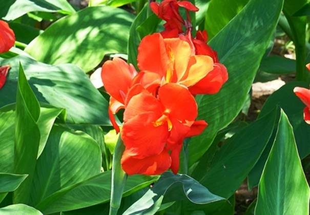 1635827665707799.jpg image.jpg