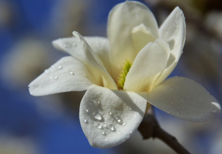 1636098020337443.jpg 1.jpg