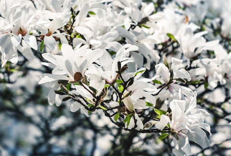 1636098090591980.jpg 2.jpg