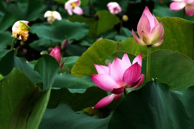 1636281502379544.jpg 1636281502379544.jpg