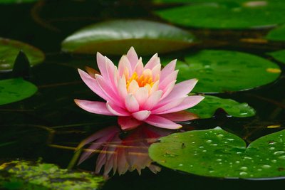 1636284488803579.jpg 1636284488803579.jpg