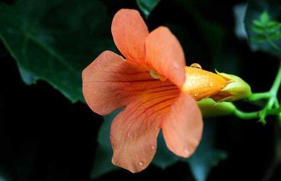 1636367106624449.jpg 1636367106624449.jpg