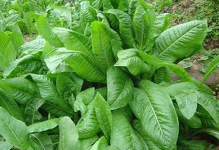 1636643477325564.jpg 1636643477325564.jpg