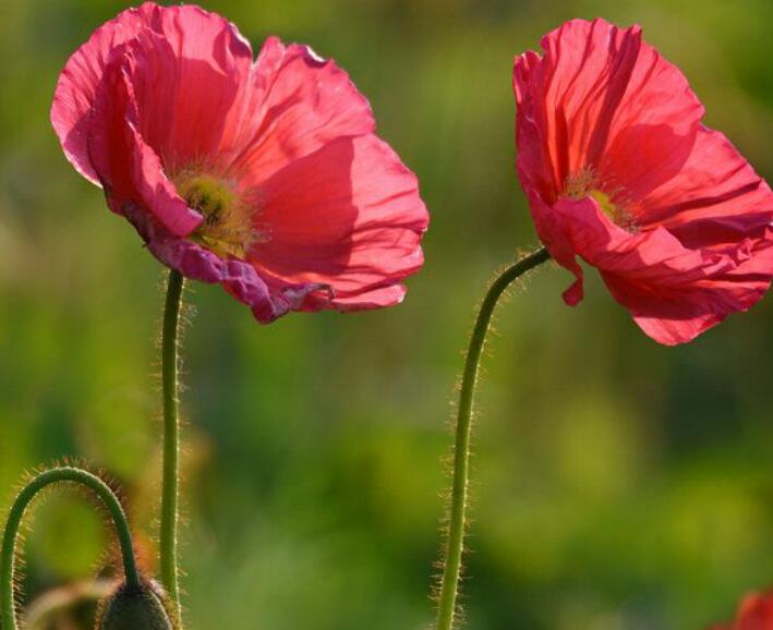 1636964283931105.jpg 1636964283931105.jpg