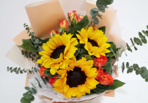 1636978557441457.jpg image.jpg