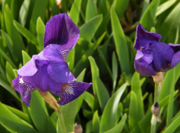 1636979977442840.jpg image.jpg